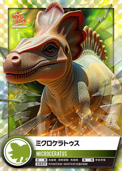 ミクロケラトゥス