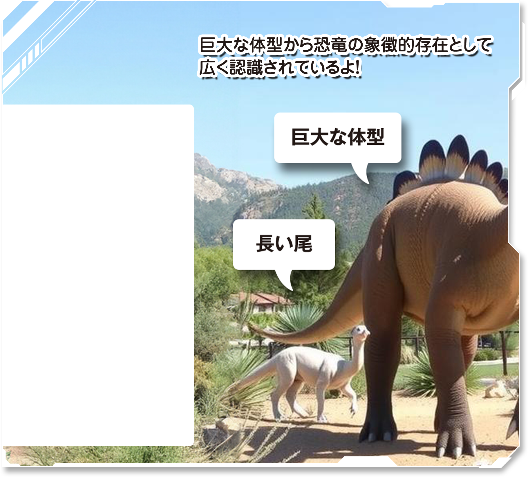 詳しく見てみよう！