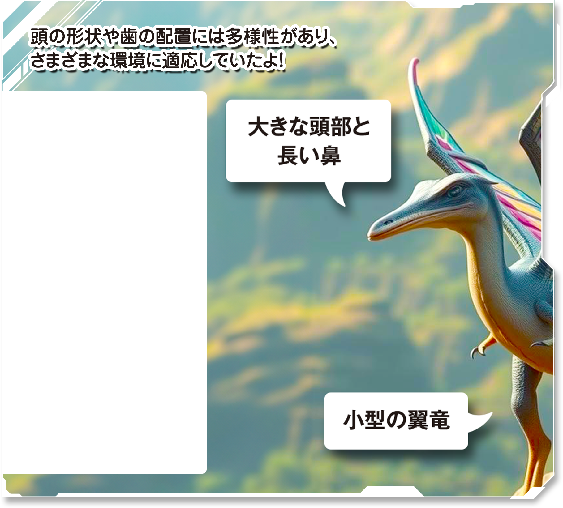 詳しく見てみよう！