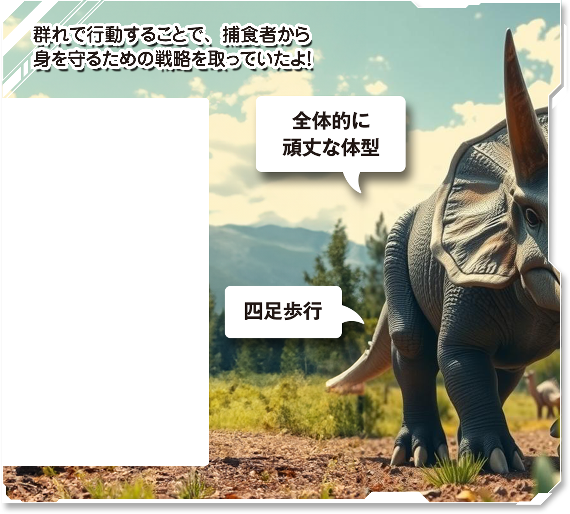 詳しく見てみよう！