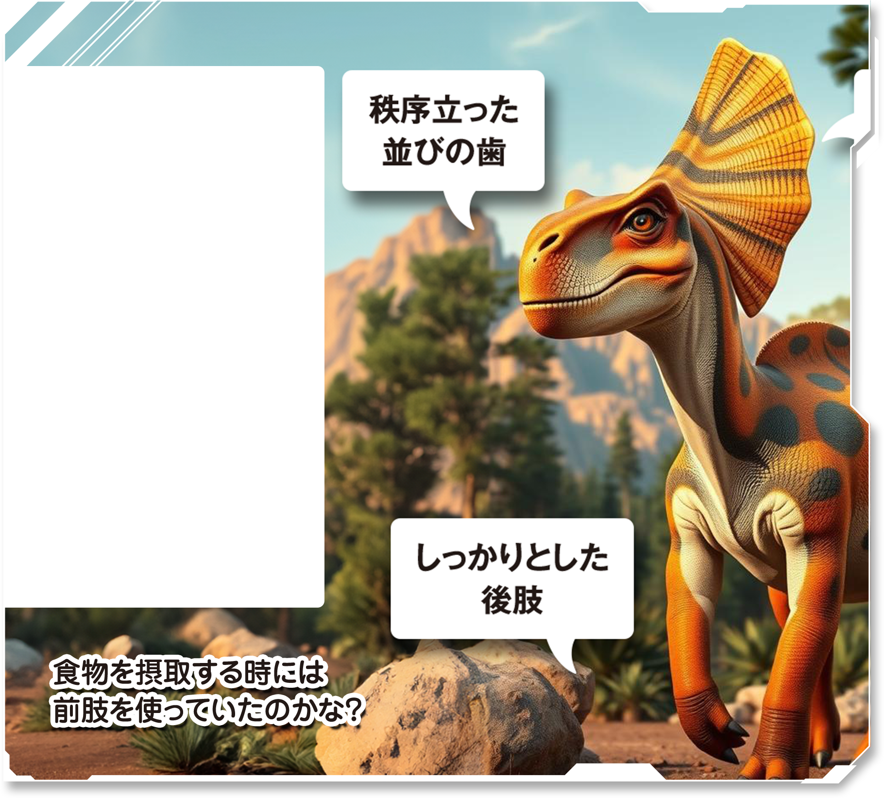 詳しく見てみよう！