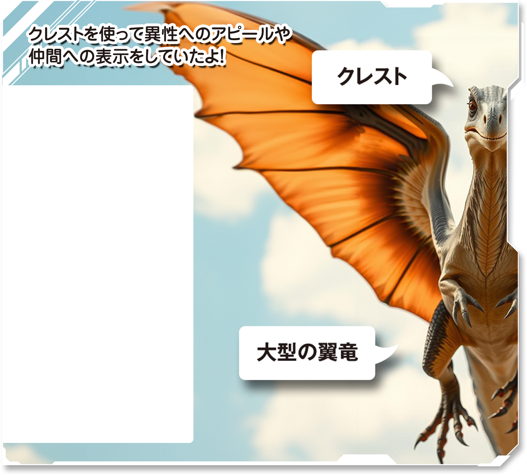 詳しく見てみよう！