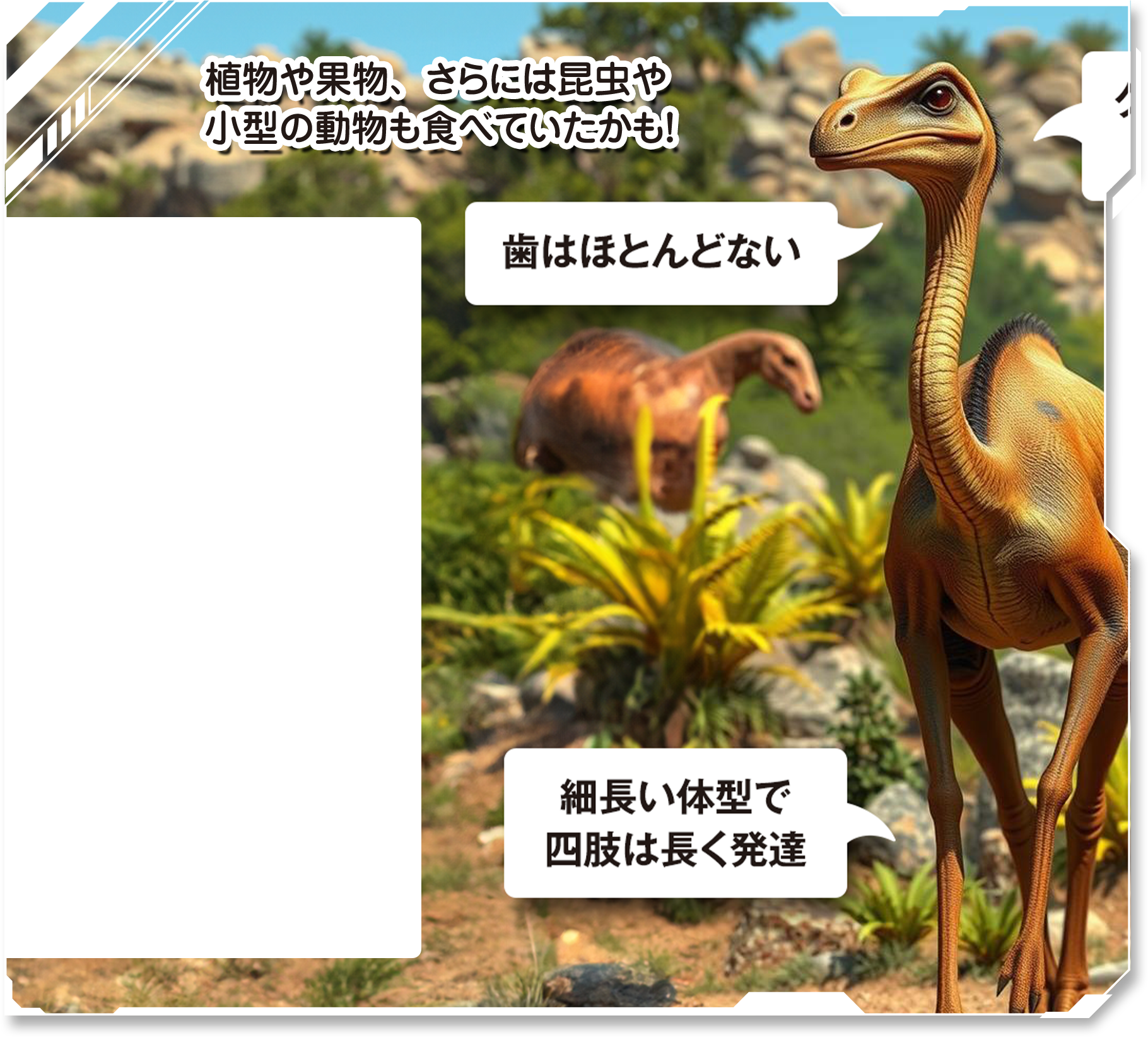 詳しく見てみよう！
