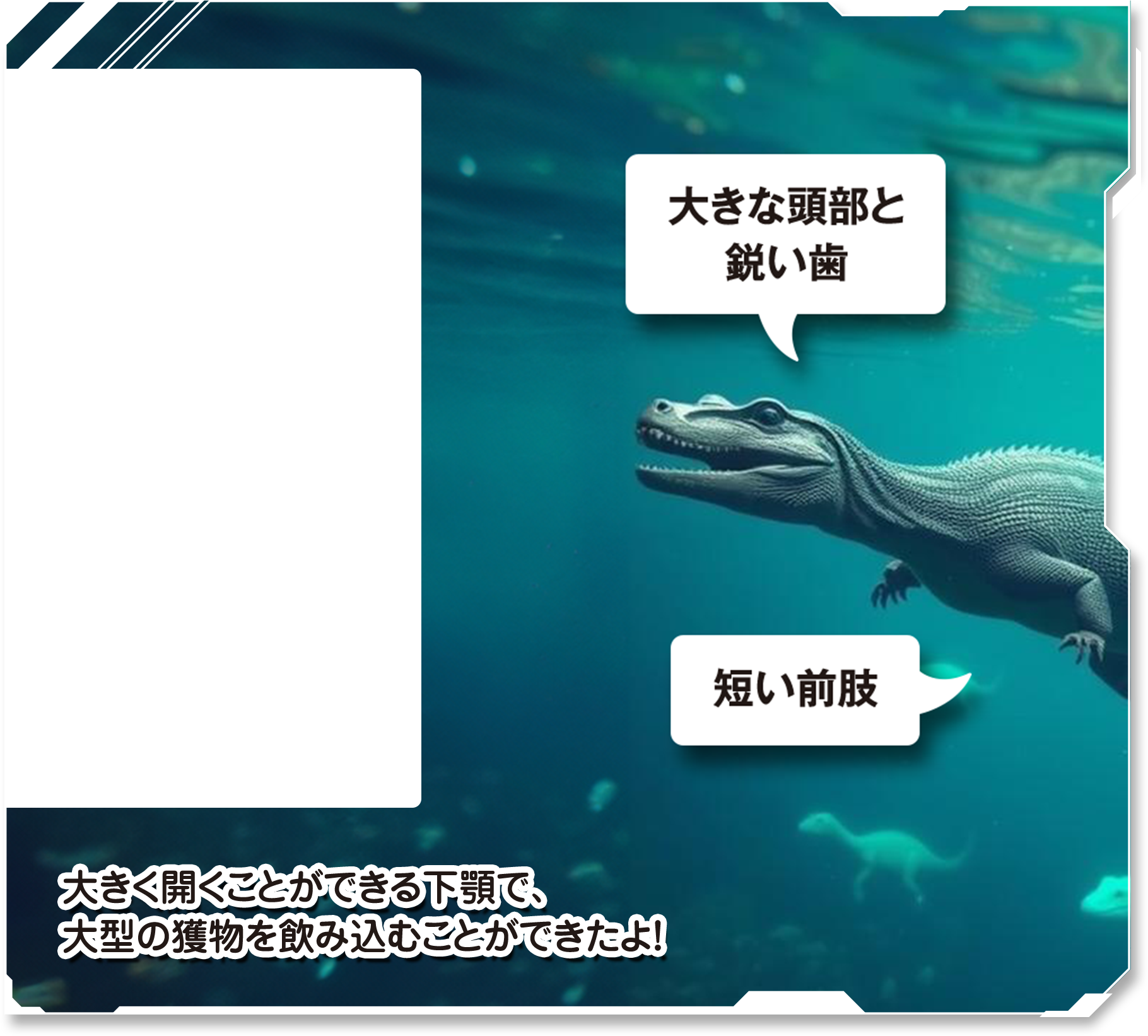 詳しく見てみよう！