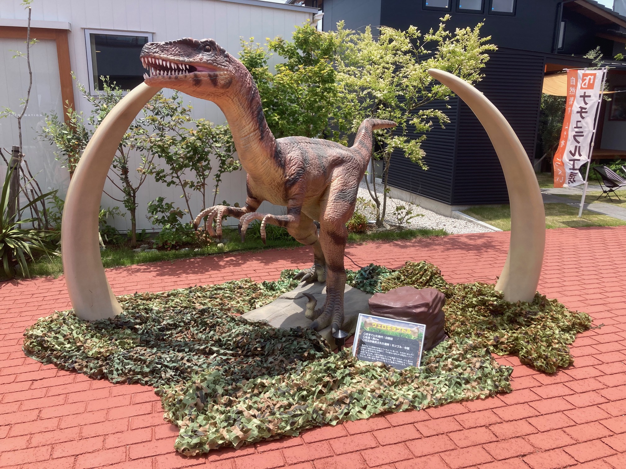 【9月13日　静岡県掛川市】ジュラシックサーカス