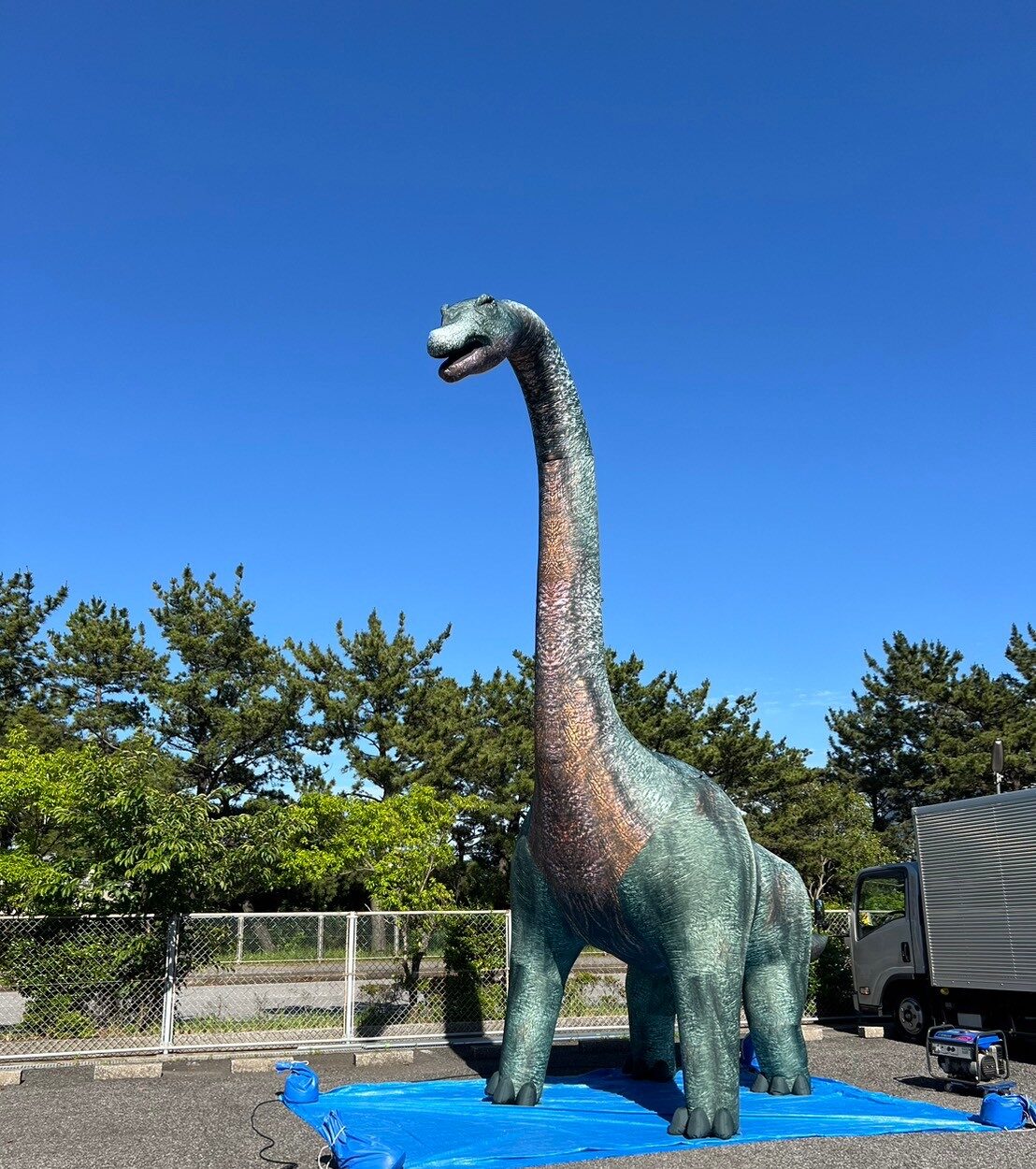 【9月20日～23日の土日祝　三鷹市】巨大ブラキオサウルスと記念撮影