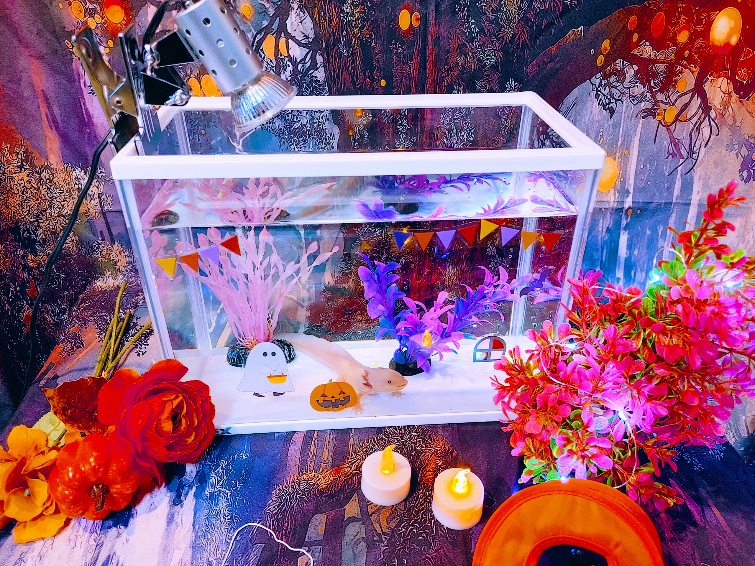 【10月10日　千葉県花見川区】ハロウィンアクアリウムがやってくる！