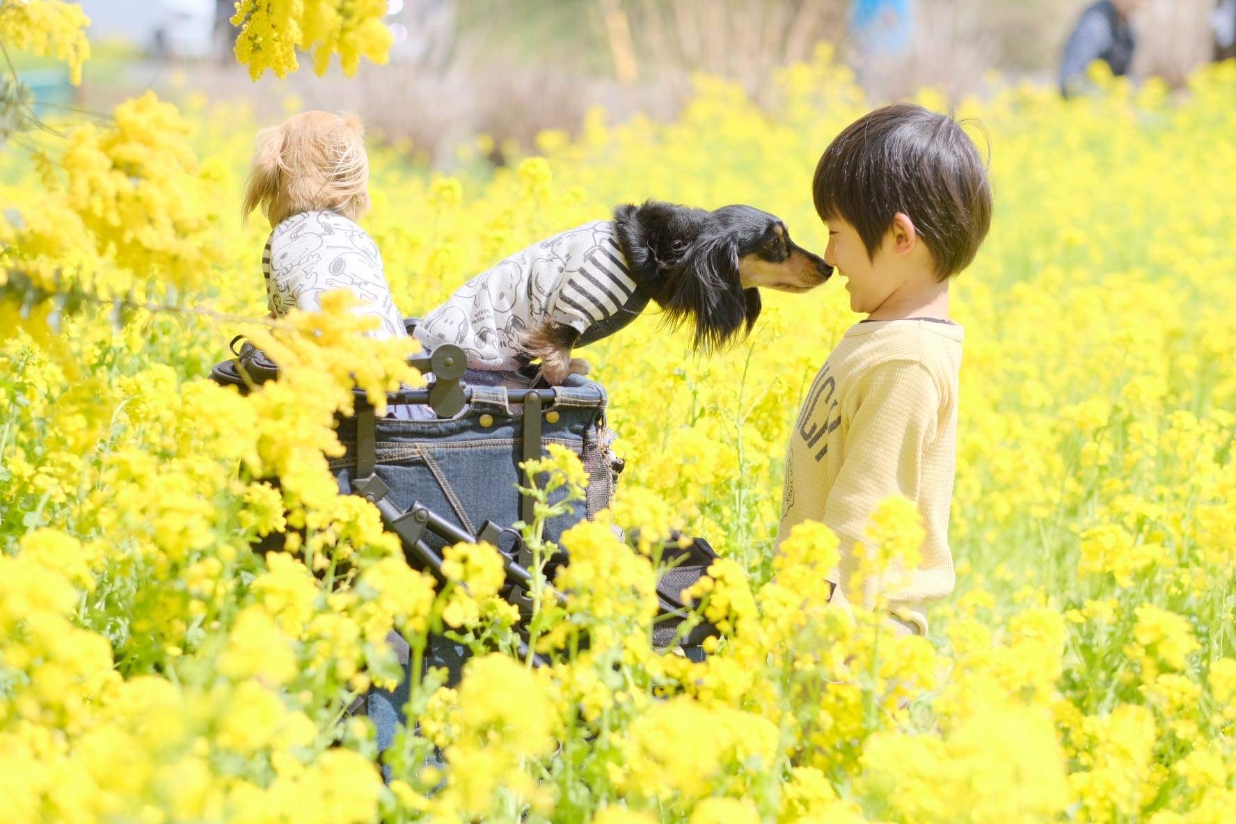 【11月15日　茨城県つくば市】こどもの写真の撮り方レッスン