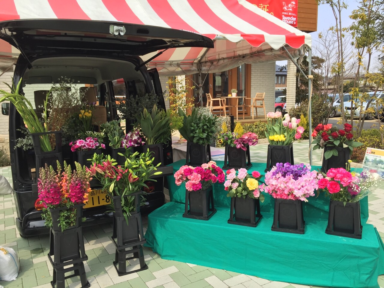 【11月16日　足立区】フラワープレイランド