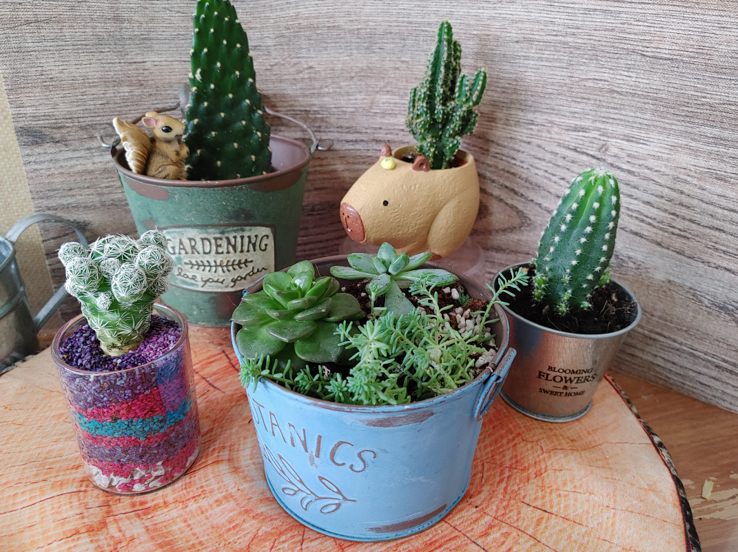 【11月2日　山梨県富士吉田市】森の不思議な生き物たち＆ワークショップ体験