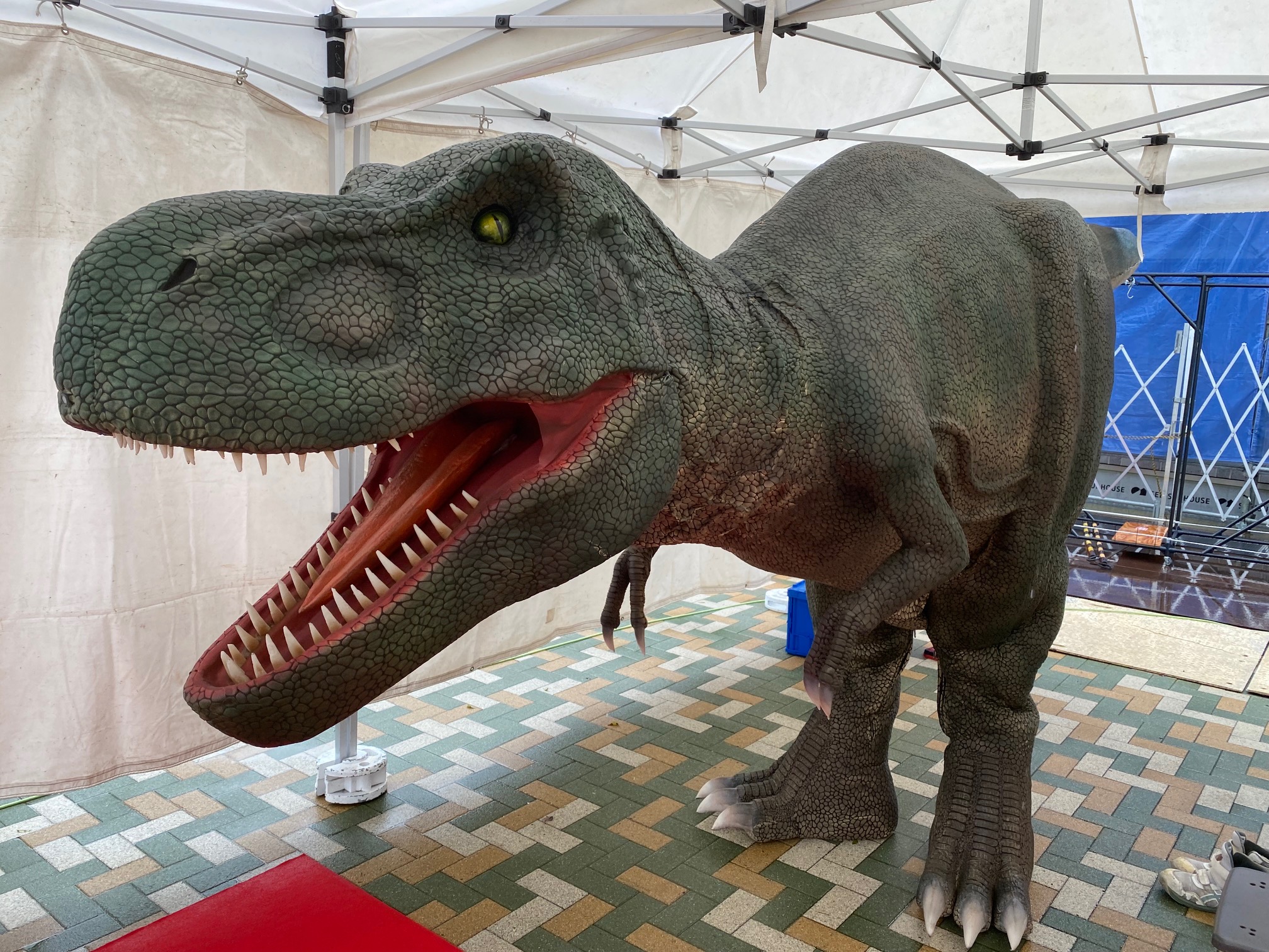 【1月10日静岡・葵住宅公園】ティラノワールドがやってくる