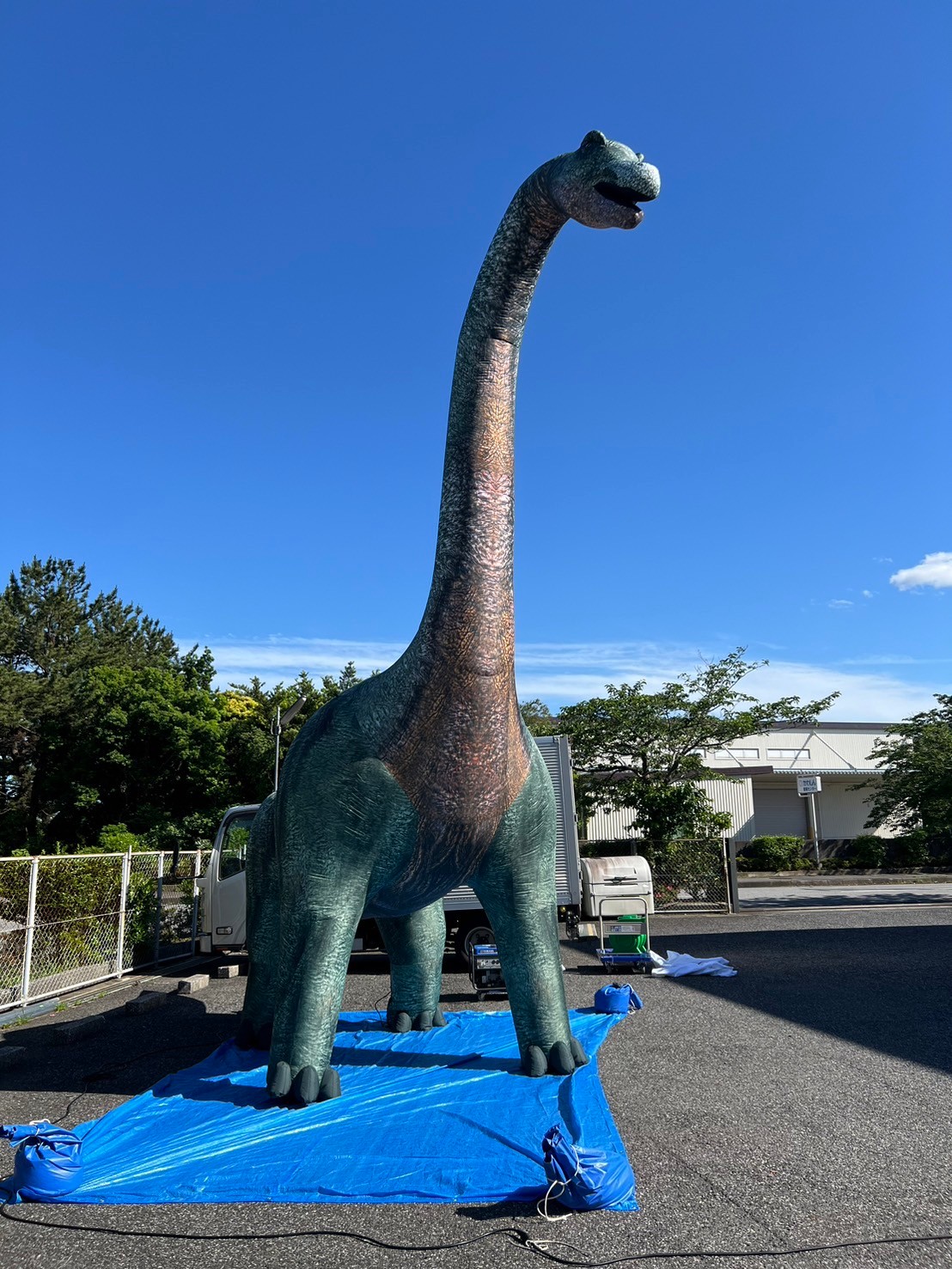 【1月12日　富士吉田市】恐竜縁日パーク