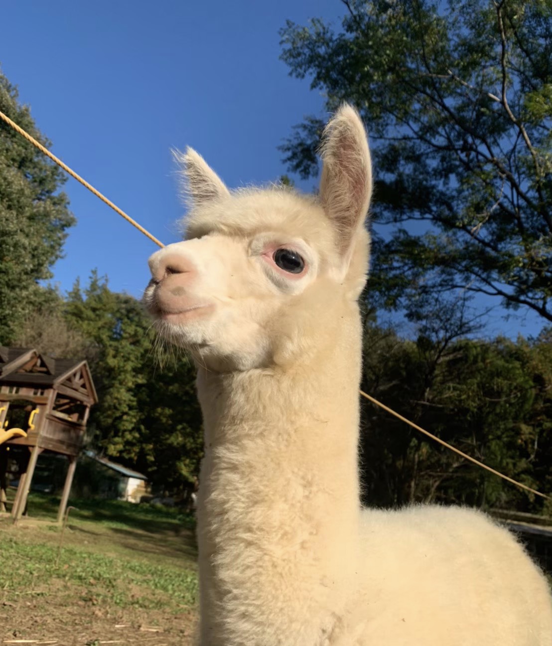 【2月15日　横浜市西区】あったかモコモコ動物大集合