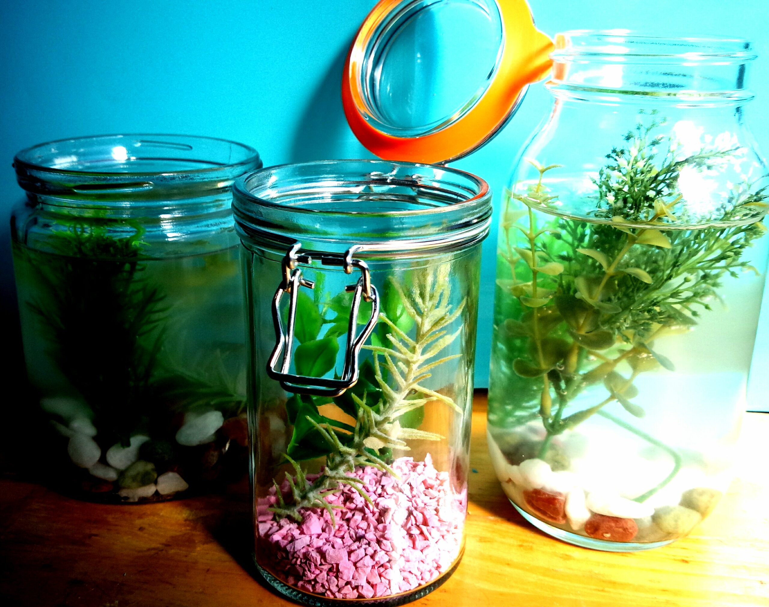 【4月25日　千葉市花見川区】ボトルアクアプレゼント！