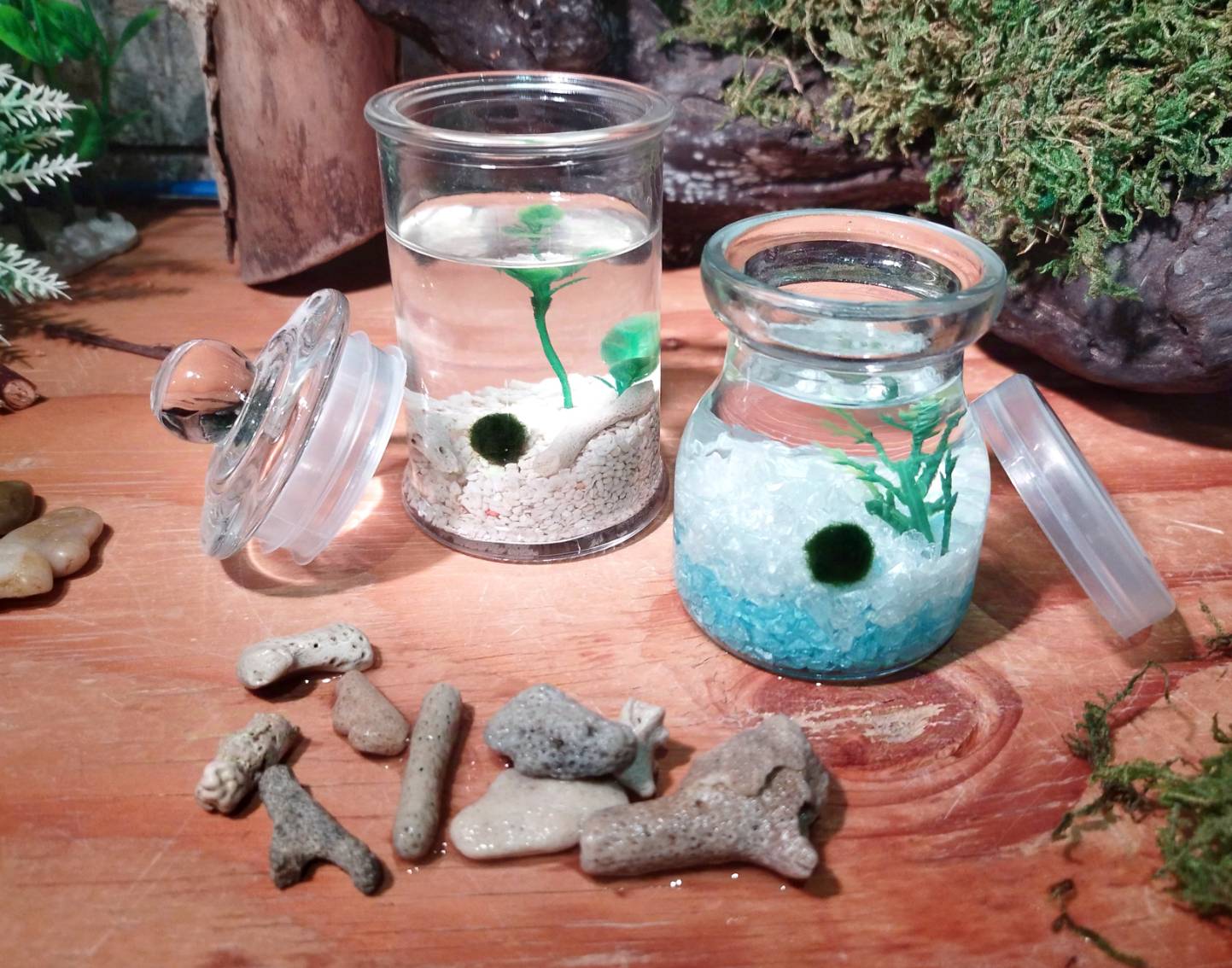 【5月4日　山梨県甲府市】ビオトープでメダカ飼育＆マリモ瓶づくり