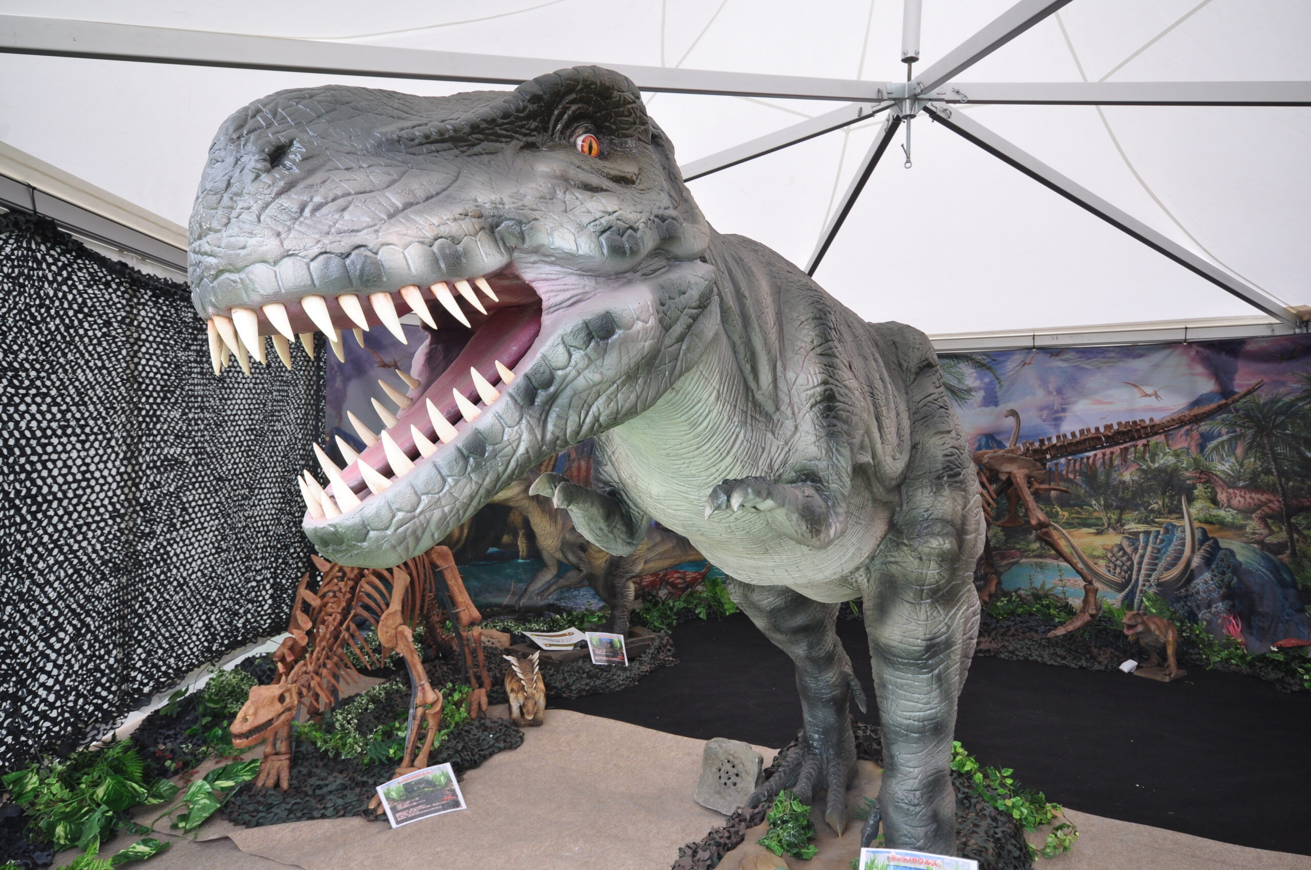 【4月19日　長野県松本市】ティラノワールド