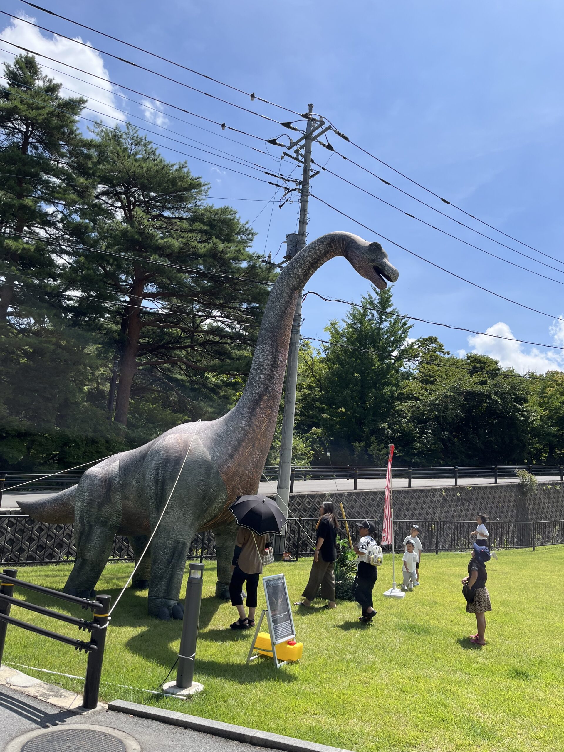 【5月4日　東京都墨田区】恐竜縁日ひろば