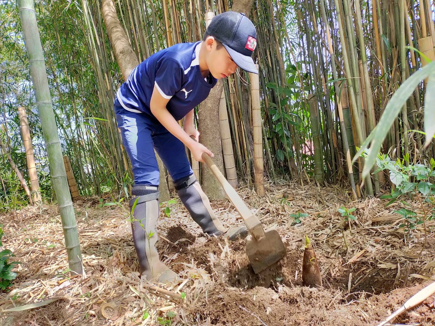 【4月19日　東京都世田谷区】タケノコ掘り＆朝採れ新鮮野菜市