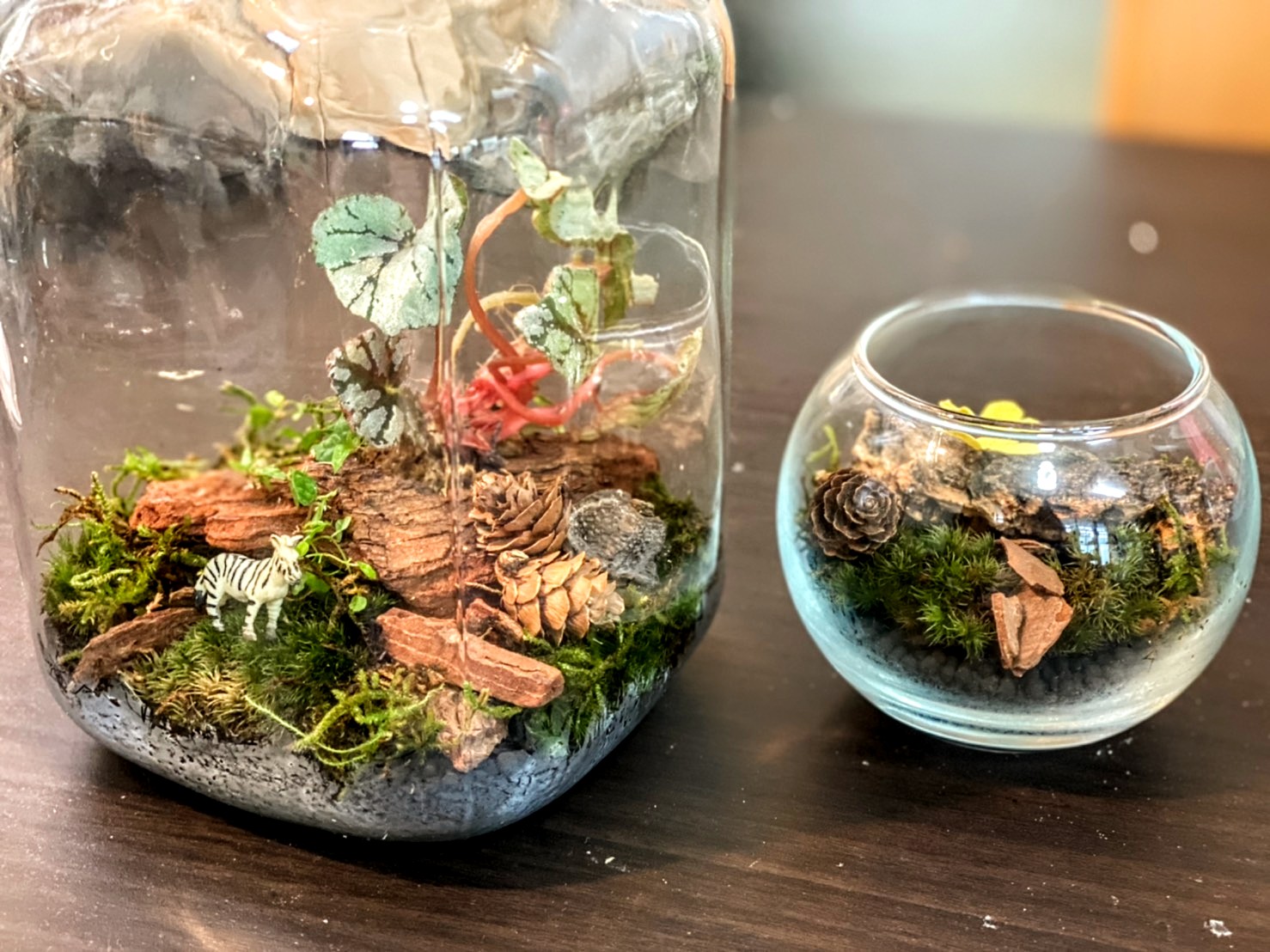 【6月7日　東京都足立区】森の不思議な生き物＆アート体験