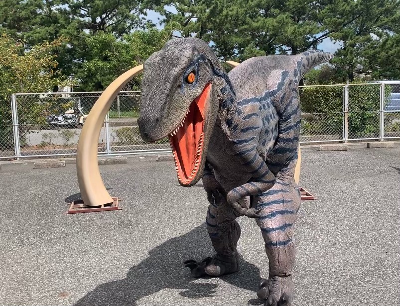 【5月9日　長野県松本市】ジュラシックランド
