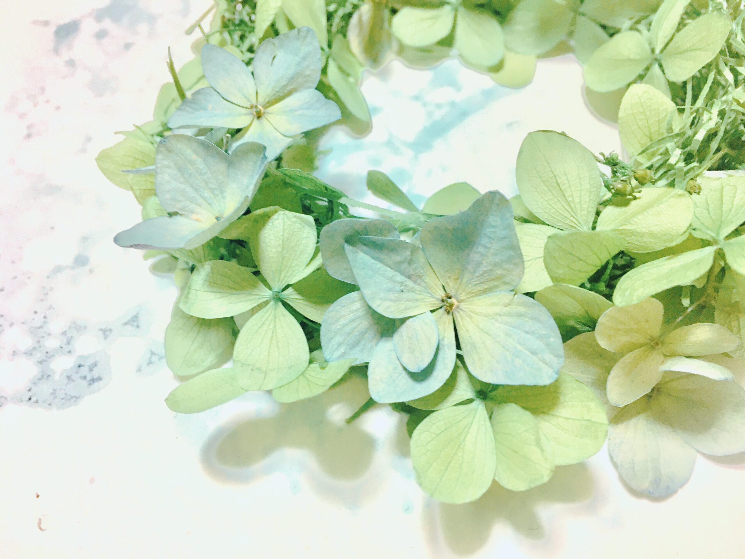 【6月14日　東京都足立区】紫陽花アレンジメント