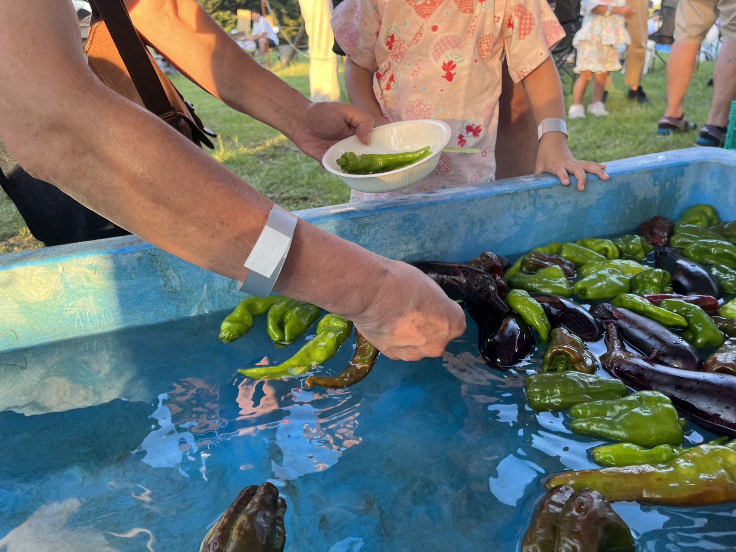 【8月9日　東京都三鷹市】夏野菜すくいにチャレンジ