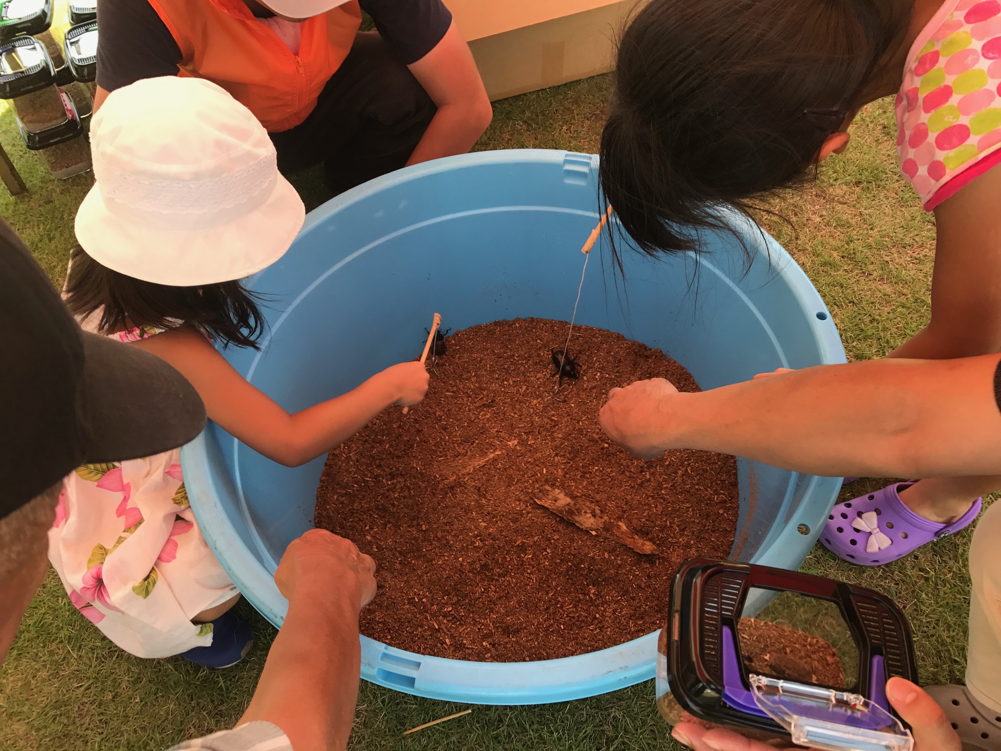 【7月12日　千葉市花見川区】国産カブトムシ釣りで昆虫GET！