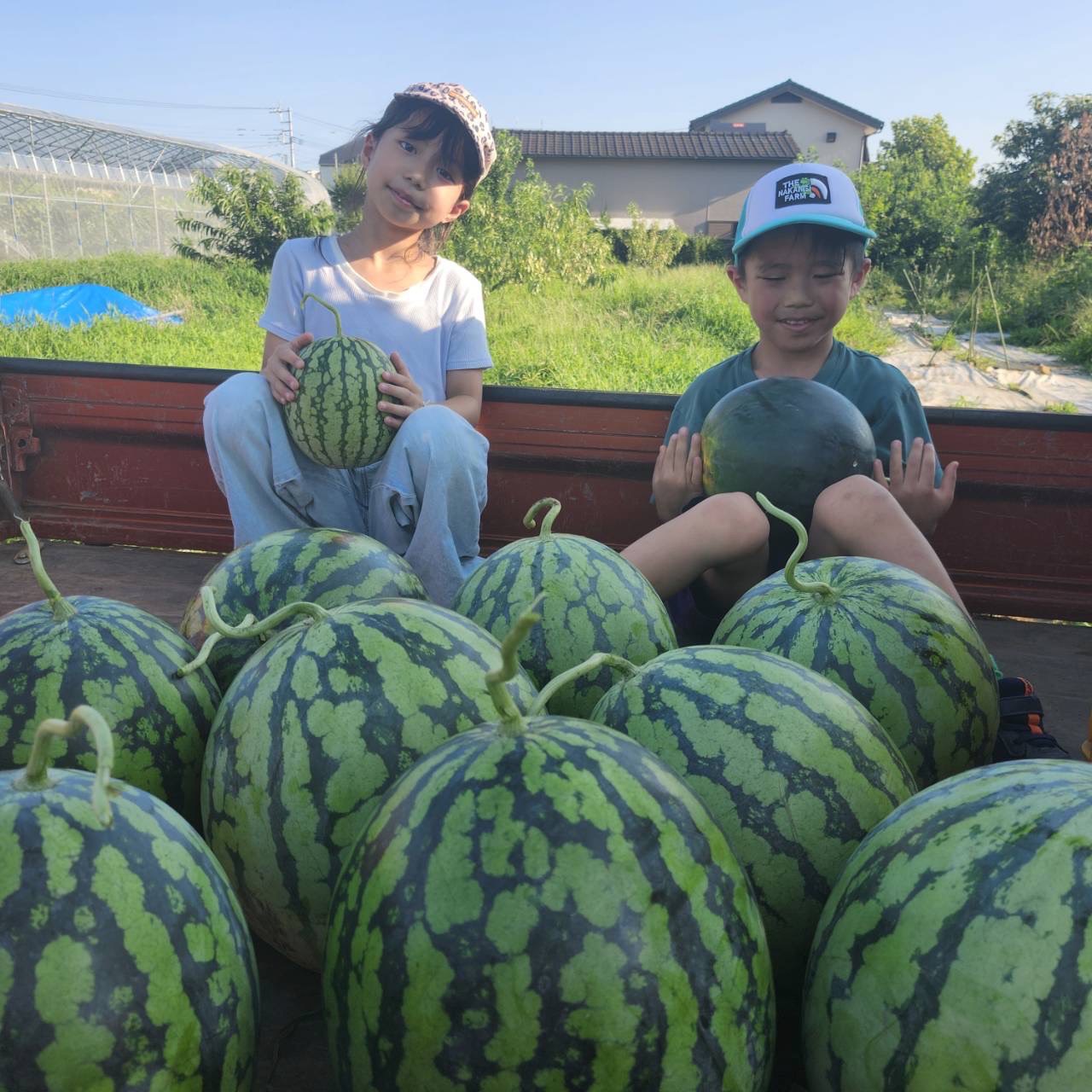 【7月20日　東京都足立区】みずみずしく爽やか！スイカ収穫体験＆新鮮野菜市