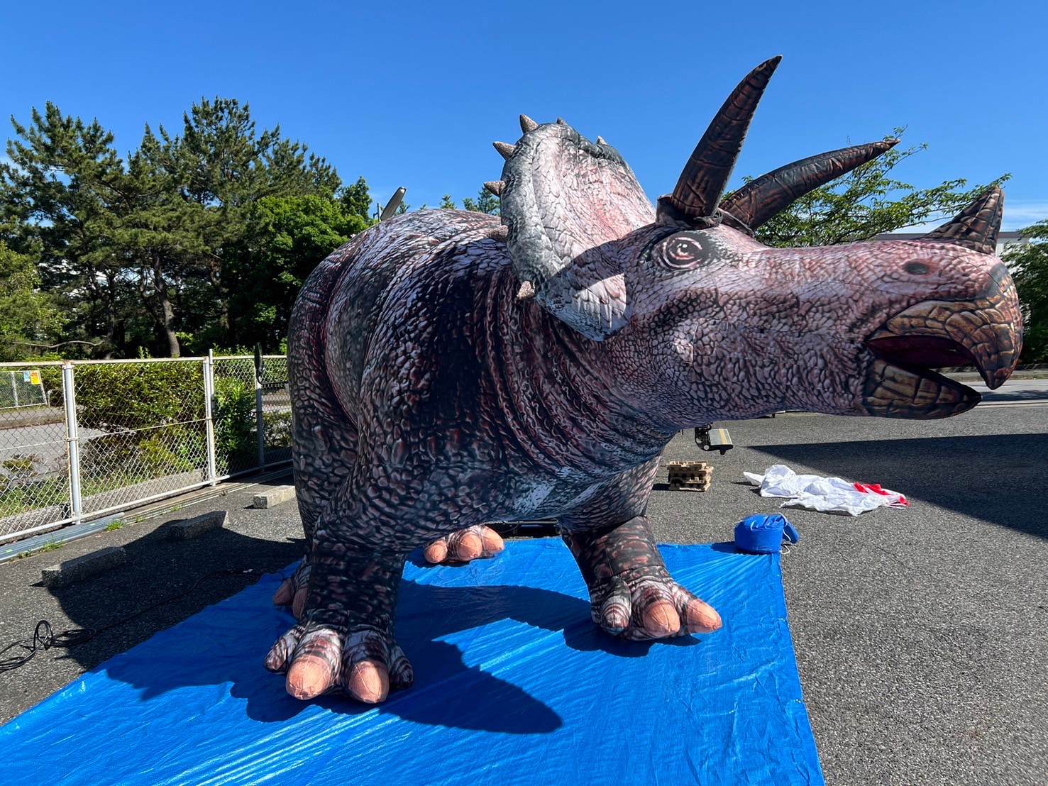 【8月9日　東京都江東区】わくわく恐竜縁日広場