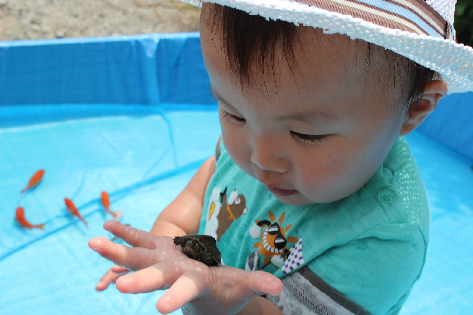 【8月16日　東京都足立区】ちびっ子集まれ！じゃぶじゃぶ池あそび