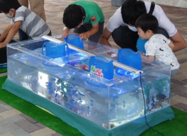 【9月12日　松戸市】ミニ水族館探検隊