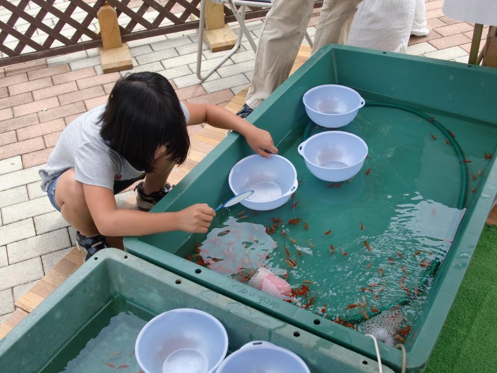 【9月19日　茂原市】釣って！すくって！水辺の生き物大集合